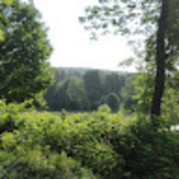 Meet your Posher, Alex - Picture 1 of 1